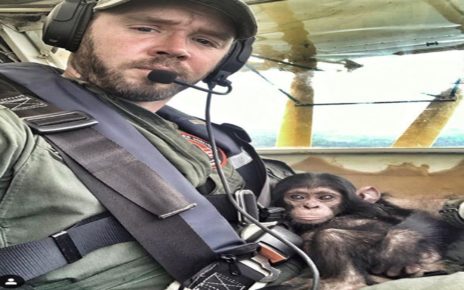 Pilot Tampan Terbang Dengan Simpanse