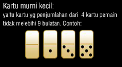 Panduan Bermain Domino99