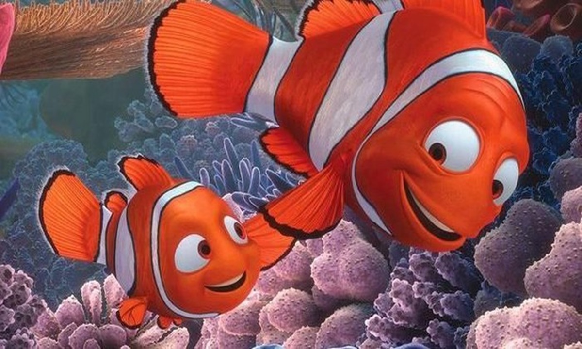 Duh Ikan Badut Nemo Terancam Punah
