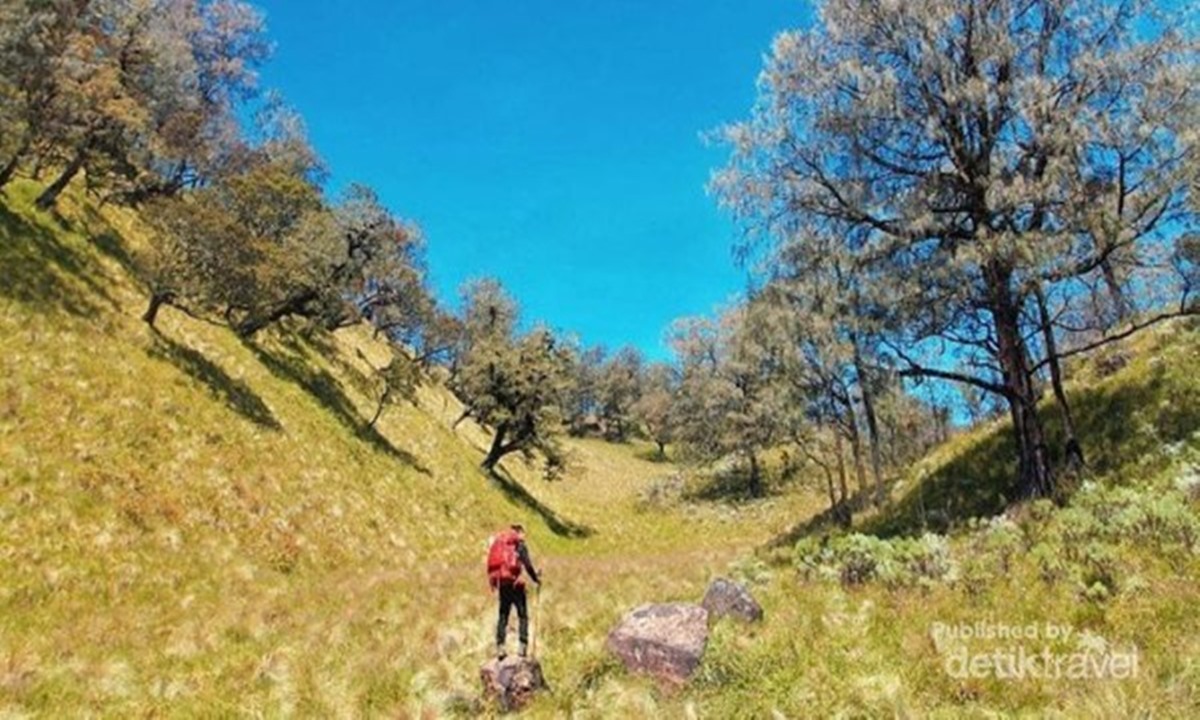 Aneka Gunung Indonesia yang Katanya Angker