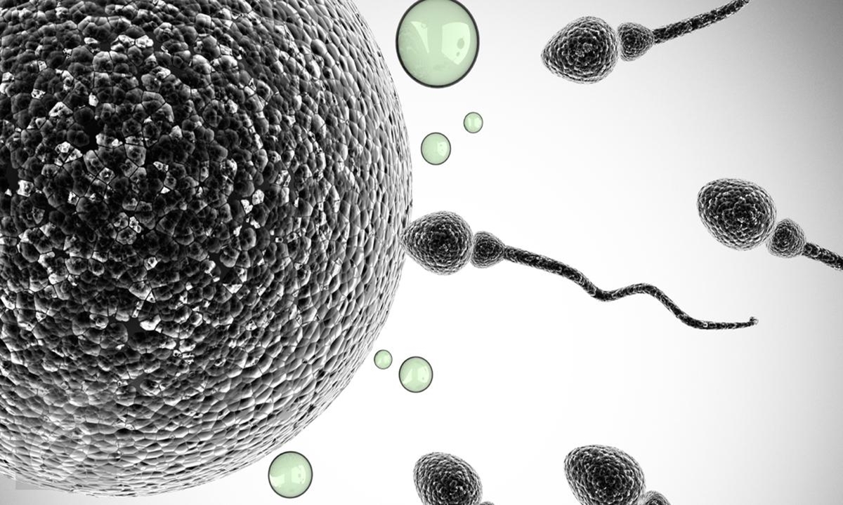 Hoaks Soal Sperma Yang Masih Dipercaya