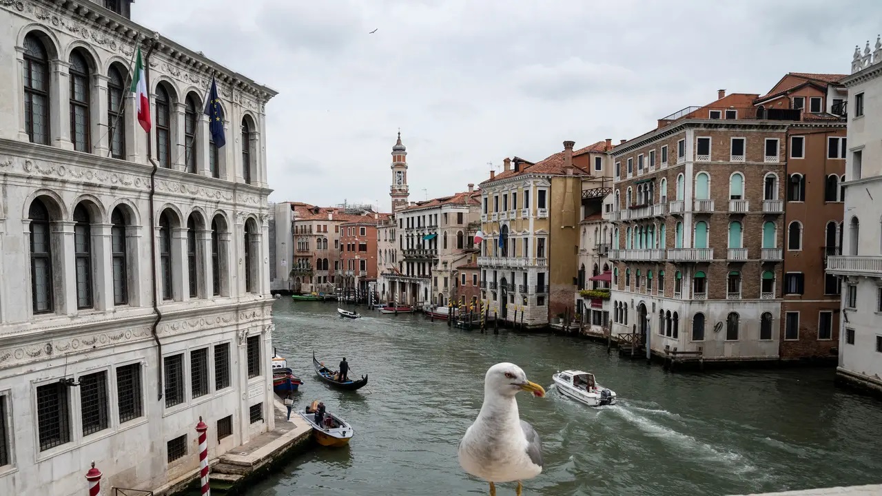 Meresahkan Tamu Hotel Venesia Menyediakan Pistol Untuk Mengusir Burung Camar