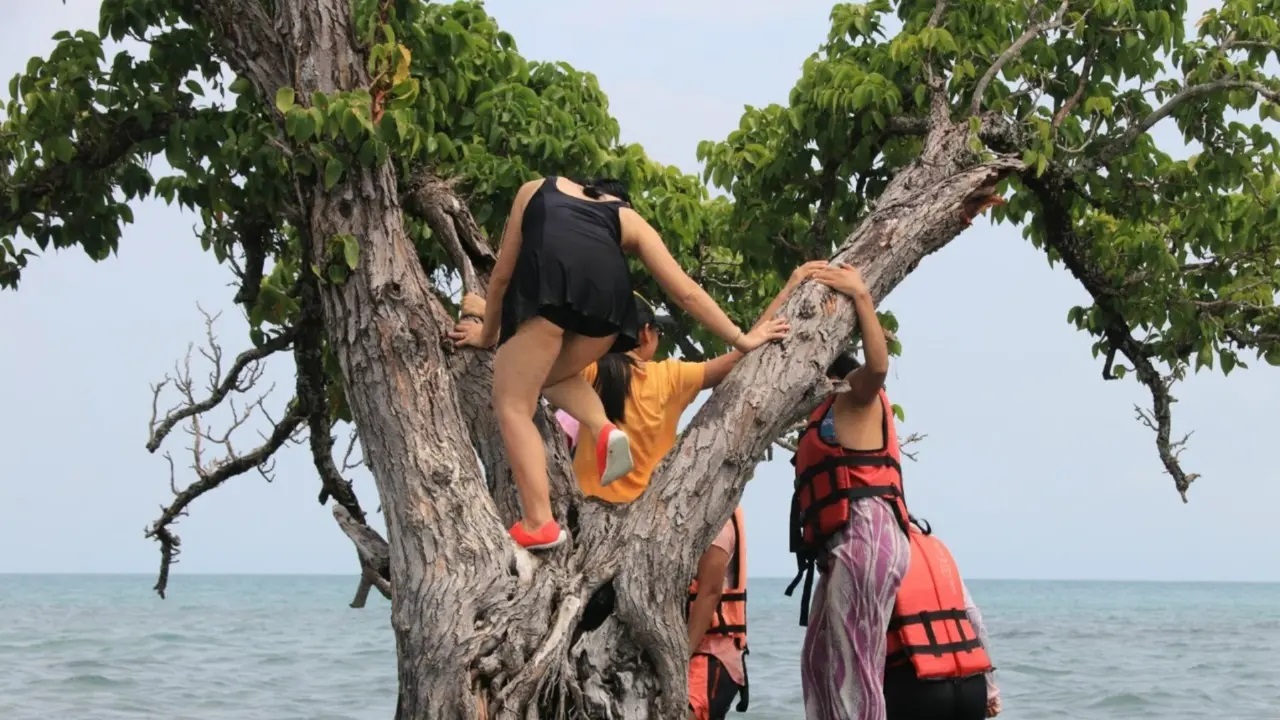 Thailand Lagi Berjuang Menyelamatkan Satu Satunya Tumbuhan di Suatu Pulau Kecil Koh Khai Hua