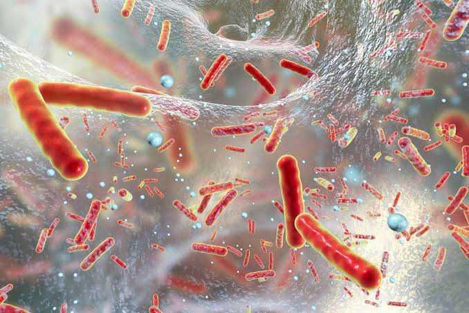 5 Kenyataan Resistensi Antibiotik Bisa Jadi Ancaman Kesehatan Global